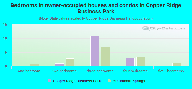 Bedrooms in owner-occupied houses and condos in Copper Ridge Business Park