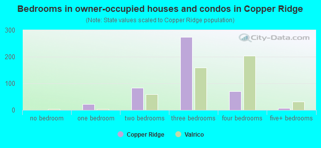 Bedrooms in owner-occupied houses and condos in Copper Ridge