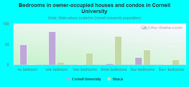 Bedrooms in owner-occupied houses and condos in Cornell University