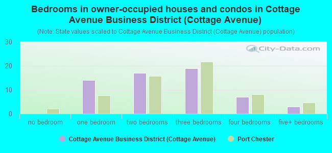 Bedrooms in owner-occupied houses and condos in Cottage Avenue Business District (Cottage Avenue)