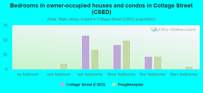 Bedrooms in owner-occupied houses and condos in Cottage Street (CSED)
