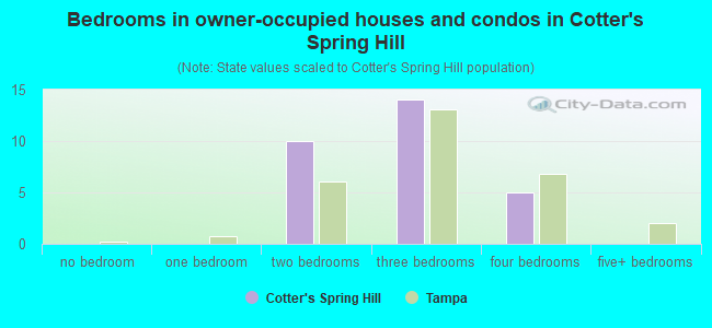 Bedrooms in owner-occupied houses and condos in Cotter's Spring Hill