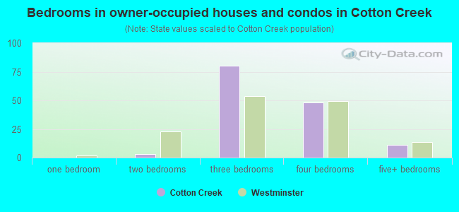 Bedrooms in owner-occupied houses and condos in Cotton Creek