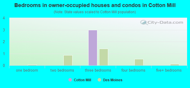 Bedrooms in owner-occupied houses and condos in Cotton Mill