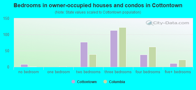 Bedrooms in owner-occupied houses and condos in Cottontown