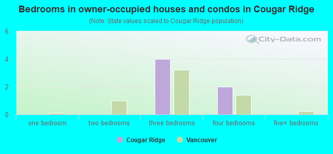 Bedrooms in owner-occupied houses and condos in Cougar Ridge