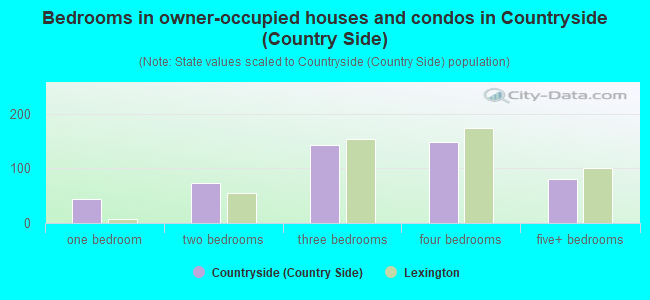 Bedrooms in owner-occupied houses and condos in Countryside (Country Side)