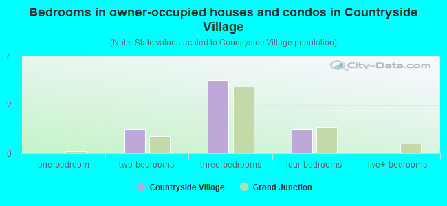 Bedrooms in owner-occupied houses and condos in Countryside Village
