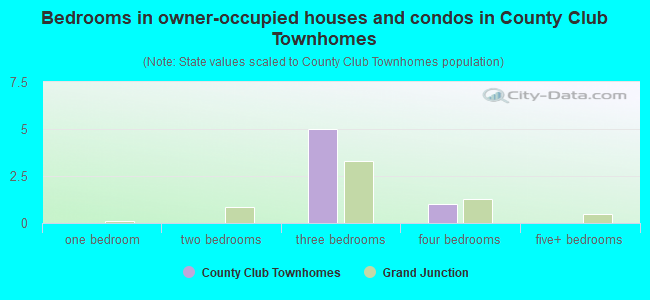 Bedrooms in owner-occupied houses and condos in County Club Townhomes