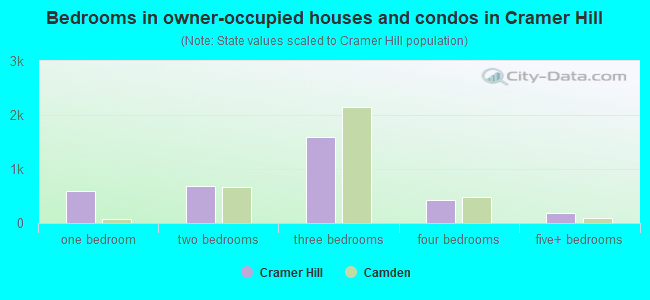 Bedrooms in owner-occupied houses and condos in Cramer Hill