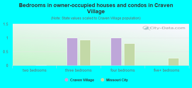 Bedrooms in owner-occupied houses and condos in Craven Village