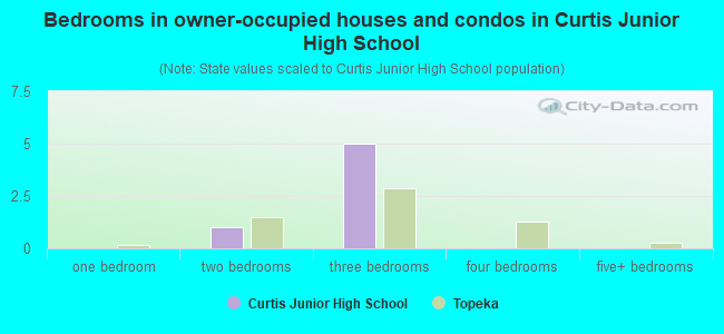 Bedrooms in owner-occupied houses and condos in Curtis Junior High School
