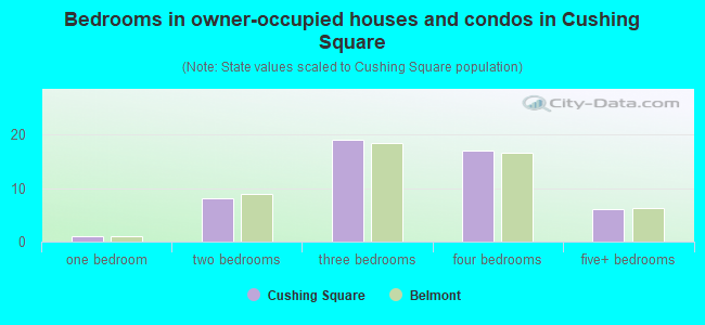 Bedrooms in owner-occupied houses and condos in Cushing Square