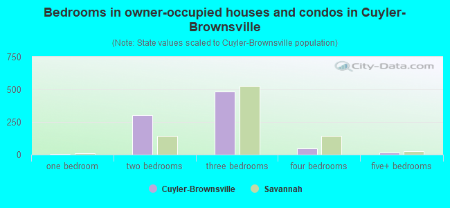 Bedrooms in owner-occupied houses and condos in Cuyler-Brownsville