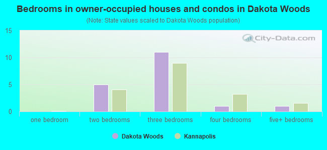 Bedrooms in owner-occupied houses and condos in Dakota Woods