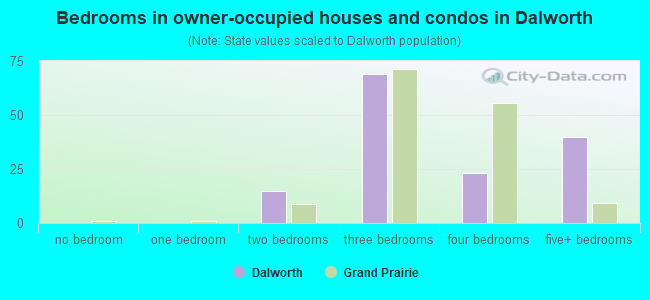 Bedrooms in owner-occupied houses and condos in Dalworth