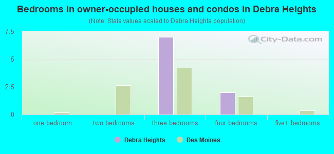 Bedrooms in owner-occupied houses and condos in Debra Heights