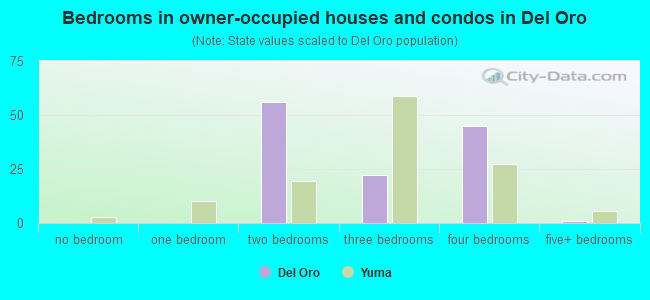 Bedrooms in owner-occupied houses and condos in Del Oro