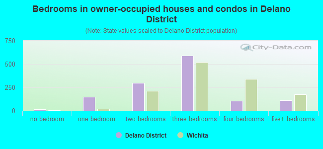Bedrooms in owner-occupied houses and condos in Delano District