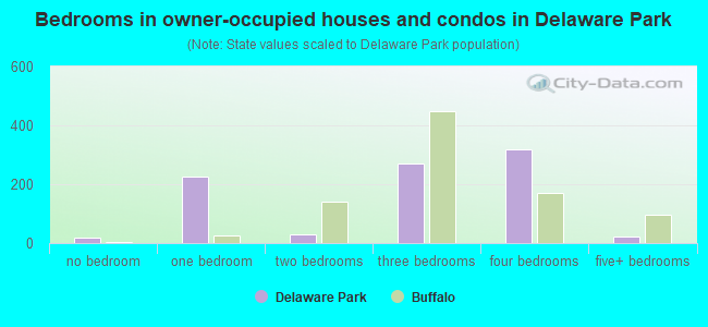 Bedrooms in owner-occupied houses and condos in Delaware Park