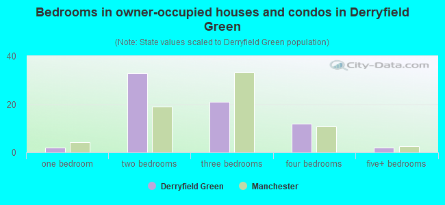 Bedrooms in owner-occupied houses and condos in Derryfield Green