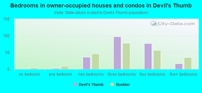 Bedrooms in owner-occupied houses and condos in Devil's Thumb