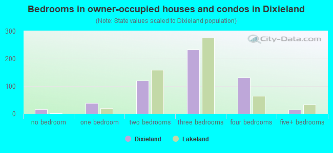 Bedrooms in owner-occupied houses and condos in Dixieland
