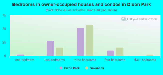 Bedrooms in owner-occupied houses and condos in Dixon Park