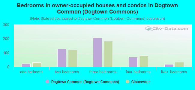 Bedrooms in owner-occupied houses and condos in Dogtown Common (Dogtown Commons)