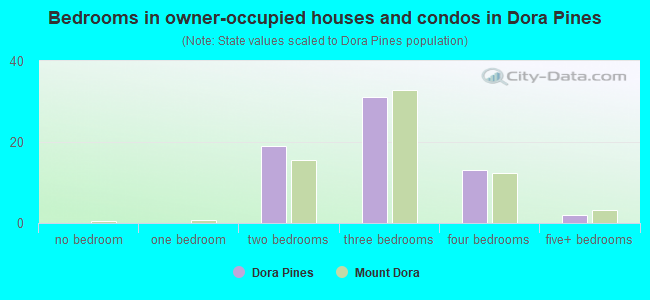 Bedrooms in owner-occupied houses and condos in Dora Pines