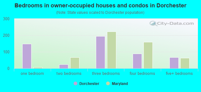Bedrooms in owner-occupied houses and condos in Dorchester