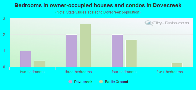 Bedrooms in owner-occupied houses and condos in Dovecreek