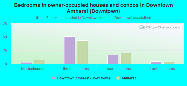 Bedrooms in owner-occupied houses and condos in Downtown Amherst (Downtown)