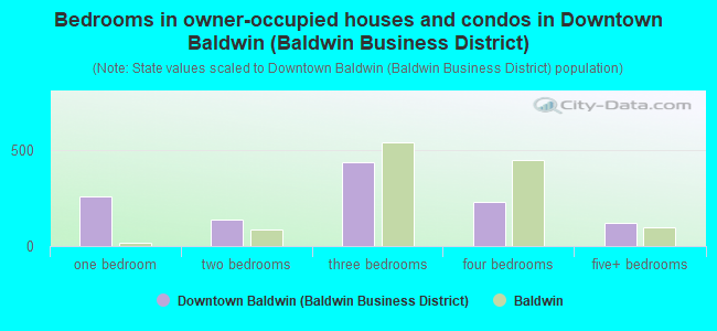 Bedrooms in owner-occupied houses and condos in Downtown Baldwin (Baldwin Business District)