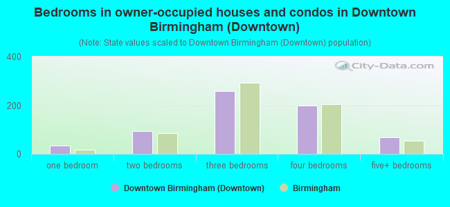 Bedrooms in owner-occupied houses and condos in Downtown Birmingham (Downtown)