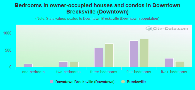 Bedrooms in owner-occupied houses and condos in Downtown Brecksville (Downtown)