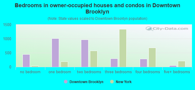 Bedrooms in owner-occupied houses and condos in Downtown Brooklyn