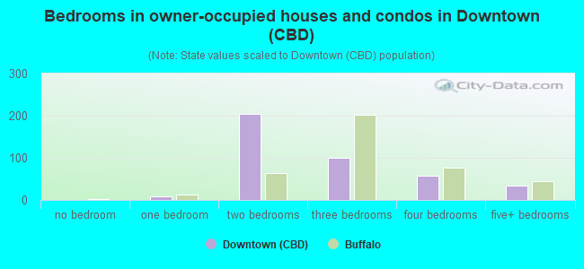 Bedrooms in owner-occupied houses and condos in Downtown (CBD)