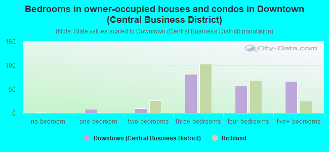 Bedrooms in owner-occupied houses and condos in Downtown (Central Business District)