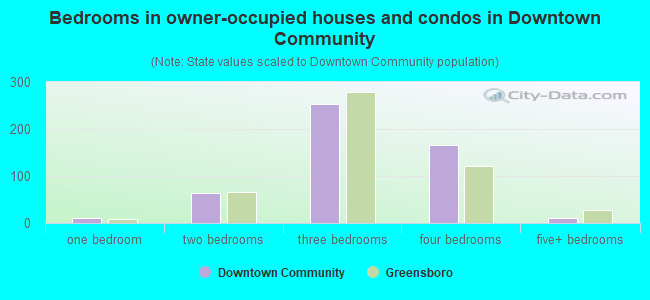Bedrooms in owner-occupied houses and condos in Downtown Community