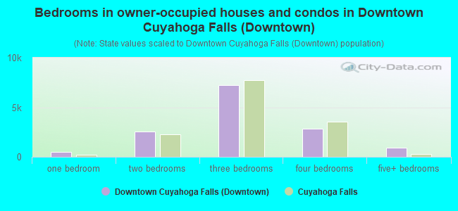 Bedrooms in owner-occupied houses and condos in Downtown Cuyahoga Falls (Downtown)