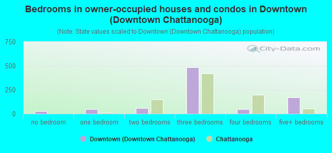 Bedrooms in owner-occupied houses and condos in Downtown (Downtown Chattanooga)