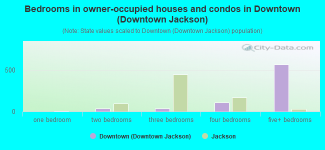 Bedrooms in owner-occupied houses and condos in Downtown (Downtown Jackson)
