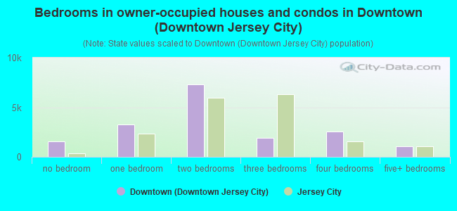 Bedrooms in owner-occupied houses and condos in Downtown (Downtown Jersey City)