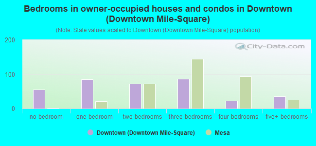 Bedrooms in owner-occupied houses and condos in Downtown (Downtown Mile-Square)