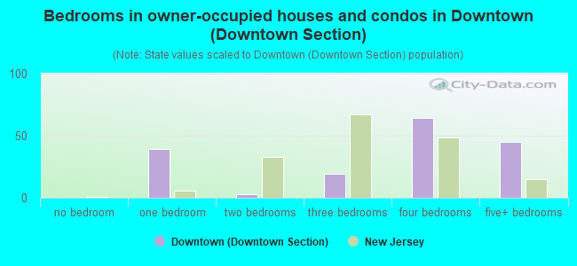 Bedrooms in owner-occupied houses and condos in Downtown (Downtown Section)