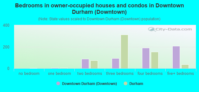 Bedrooms in owner-occupied houses and condos in Downtown Durham (Downtown)