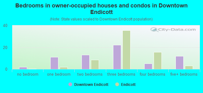 Bedrooms in owner-occupied houses and condos in Downtown Endicott