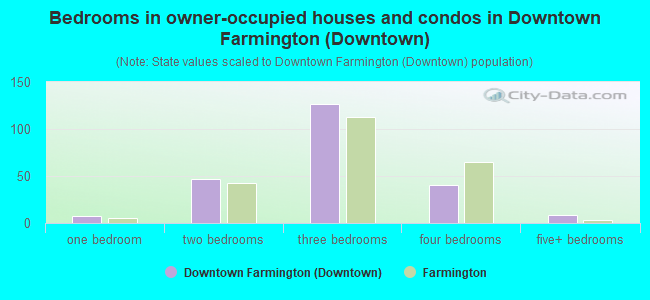 Bedrooms in owner-occupied houses and condos in Downtown Farmington (Downtown)