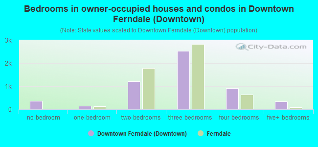Bedrooms in owner-occupied houses and condos in Downtown Ferndale (Downtown)